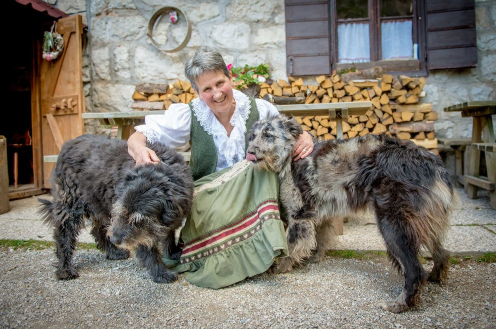 Мир дизайна: Как 9 семей живут и ведут хозяйство на своих фермах