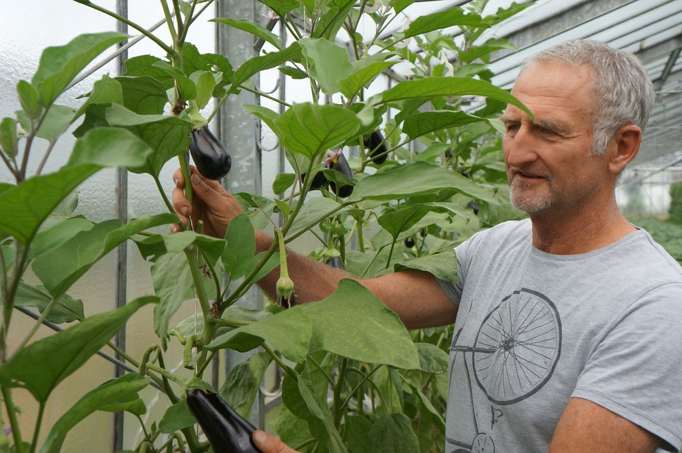 Мир дизайна: Как 9 семей живут и ведут хозяйство на своих фермах