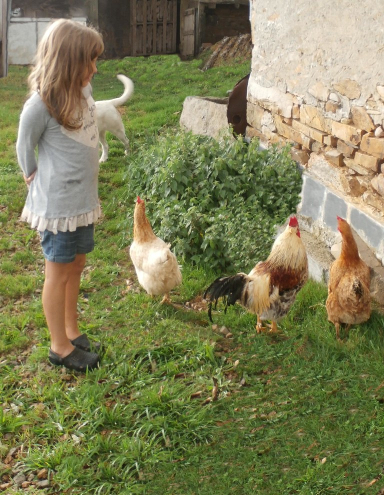 Мир дизайна: Как 9 семей живут и ведут хозяйство на своих фермах