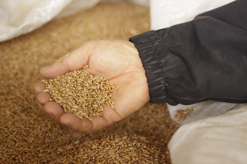 Мир дизайна: Как 9 семей живут и ведут хозяйство на своих фермах