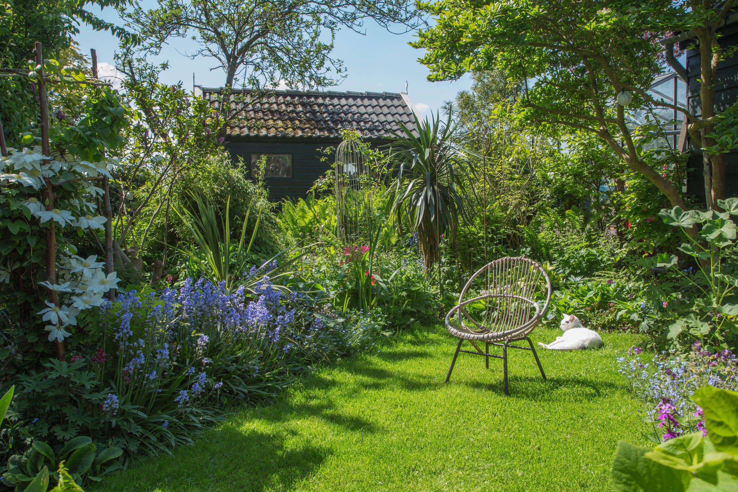 Houzz Голландия: Винтаж в семейном доме