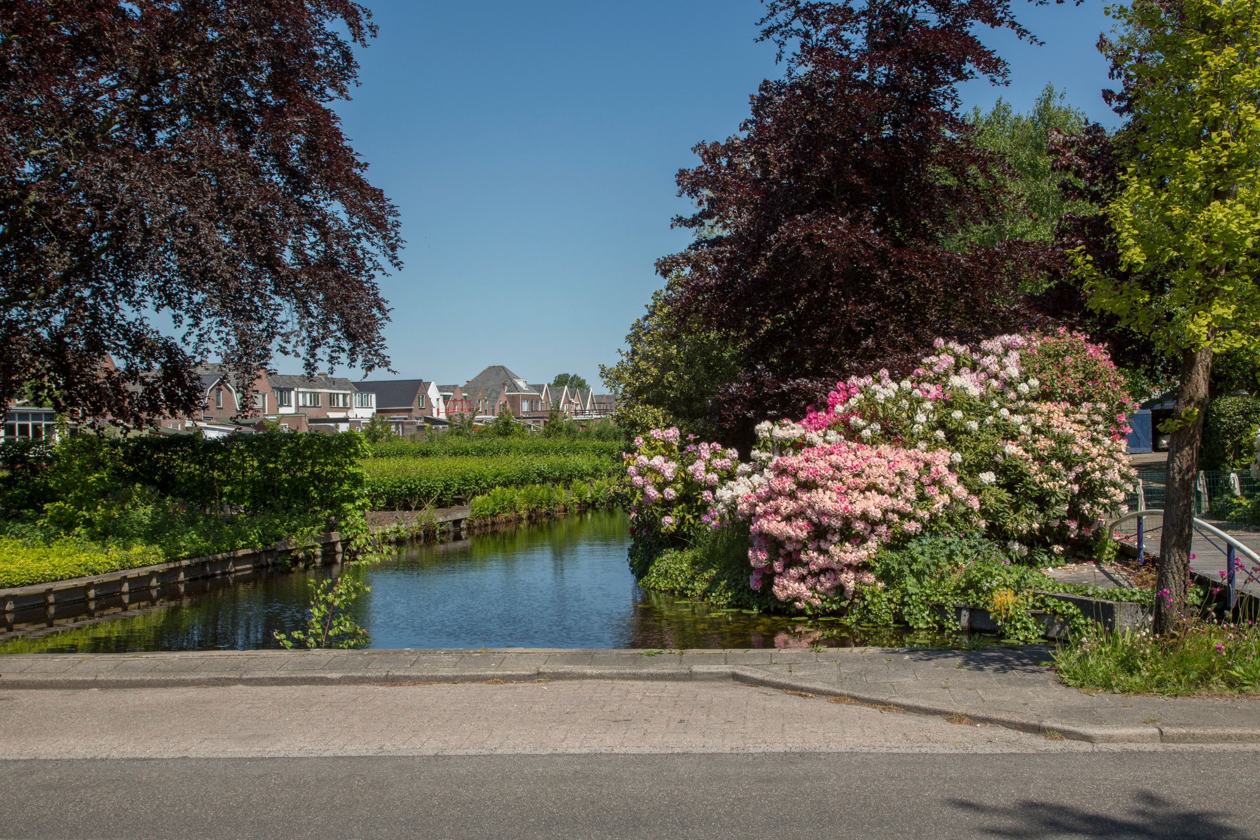 Houzz Голландия: Винтаж в семейном доме