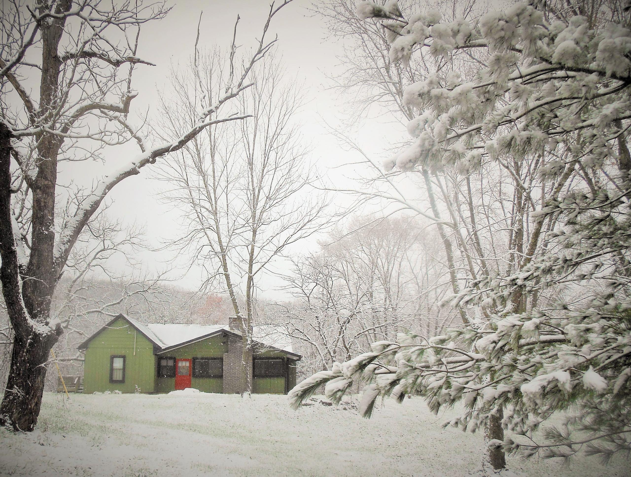 Houzz сall: Поделитесь вашими традициями празднования Нового года