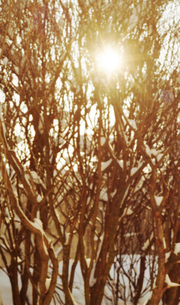 Календарь на декабрь: До весны далеко, до травы глубоко