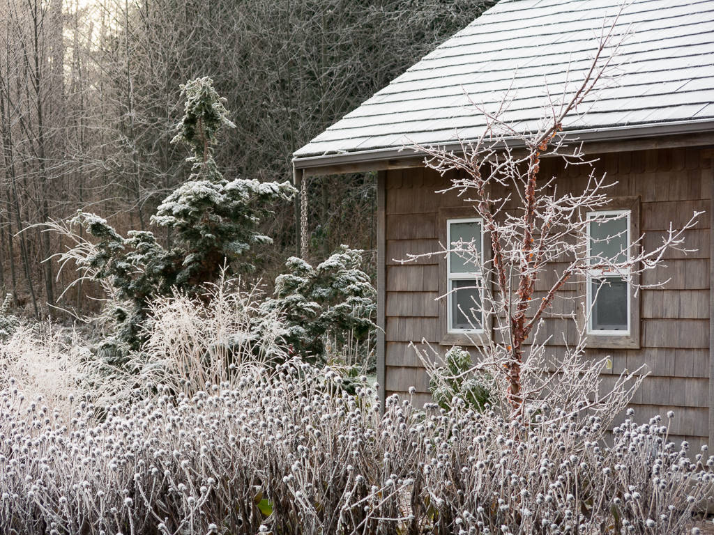 Календарь на декабрь: До весны далеко, до травы глубоко
