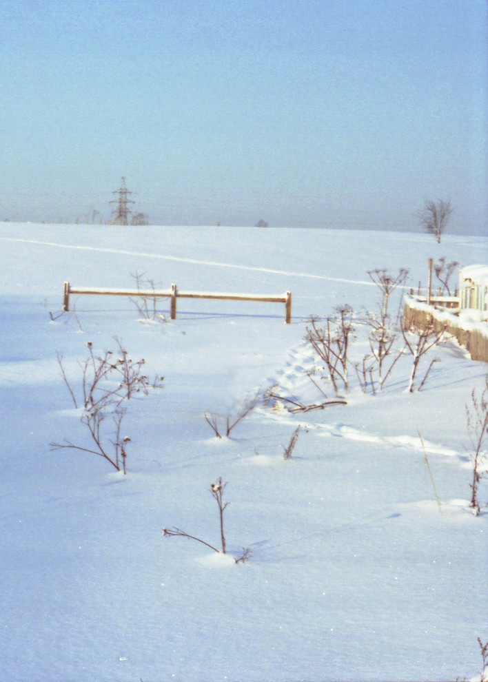Календарь на декабрь: До весны далеко, до травы глубоко