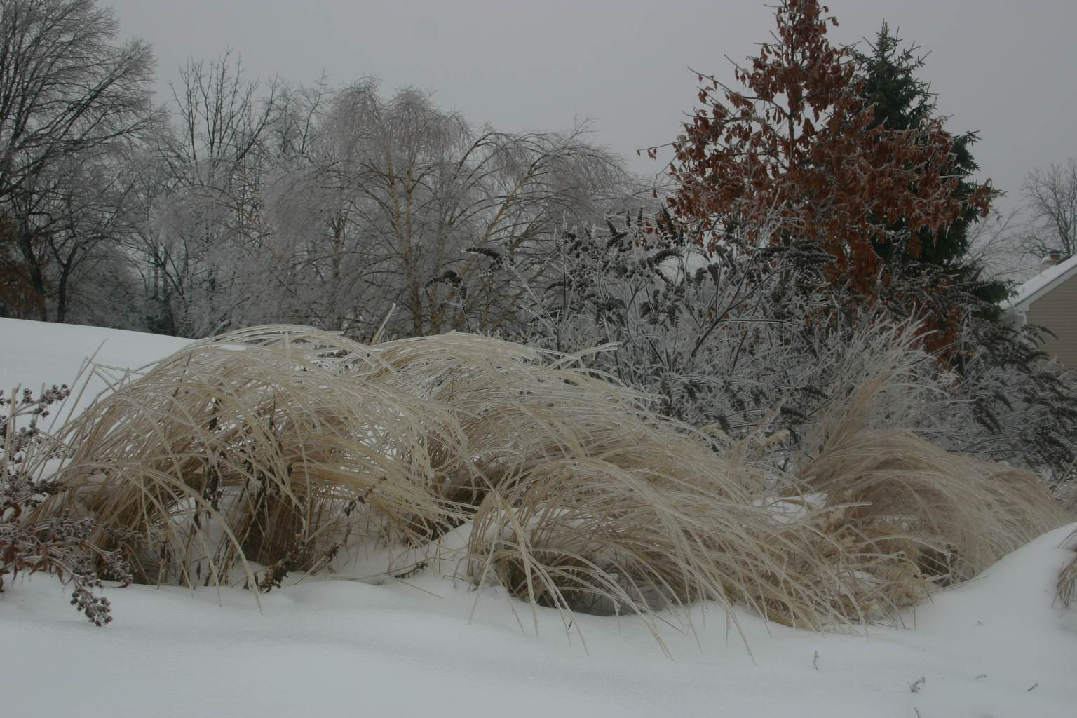 Календарь на декабрь: До весны далеко, до травы глубоко