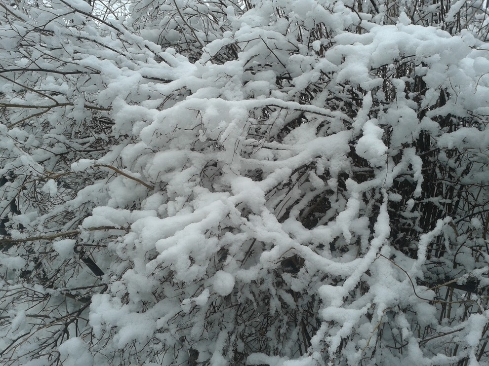 Календарь на декабрь: До весны далеко, до травы глубоко