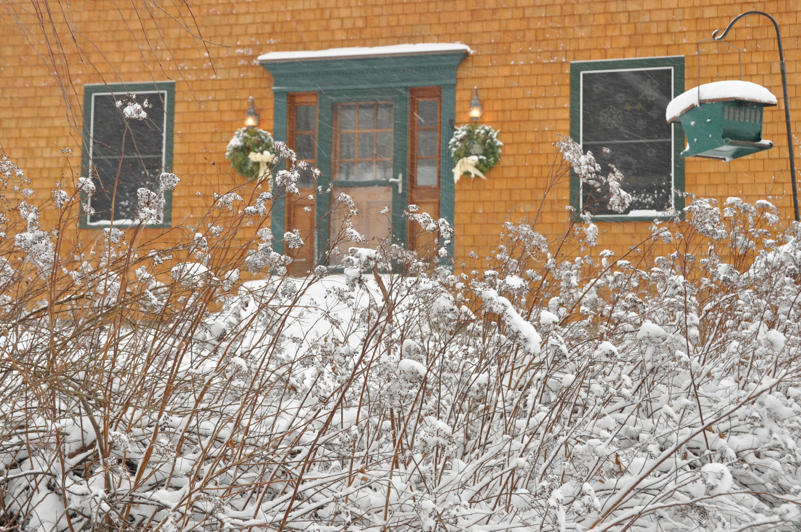 Календарь на декабрь: До весны далеко, до травы глубоко