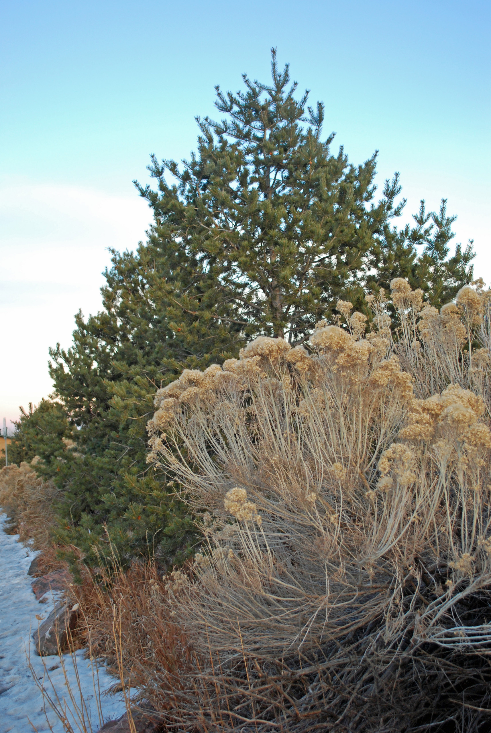Календарь на декабрь: До весны далеко, до травы глубоко