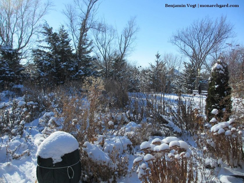 Календарь на декабрь: До весны далеко, до травы глубоко