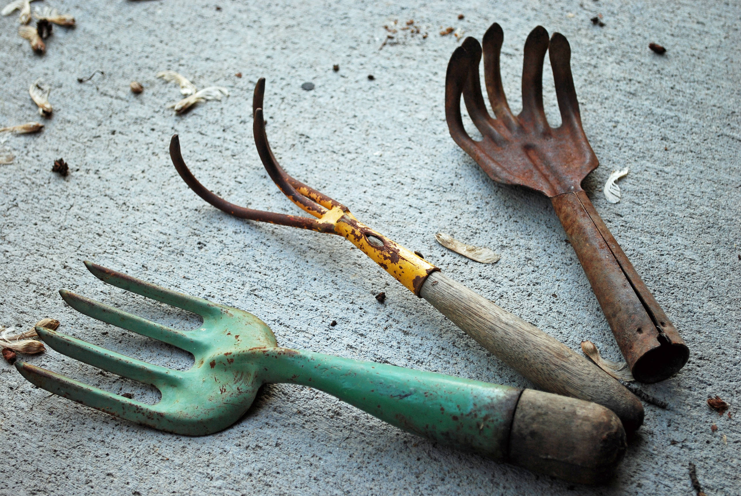 Календарь на декабрь: До весны далеко, до травы глубоко