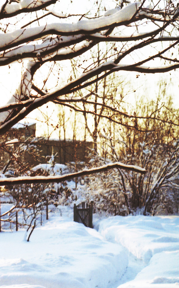 Календарь на декабрь: До весны далеко, до травы глубоко