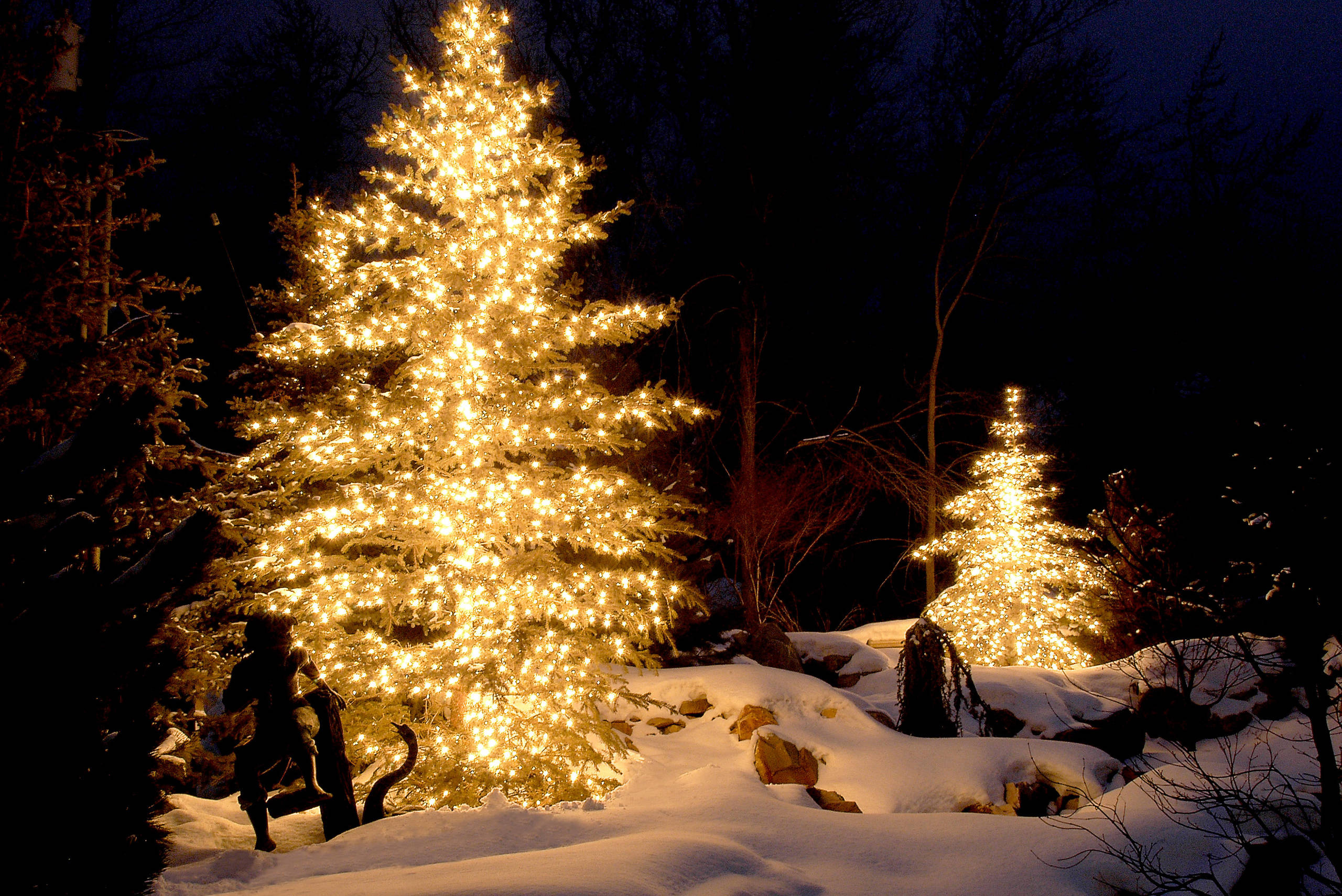 Календарь на декабрь: До весны далеко, до травы глубоко