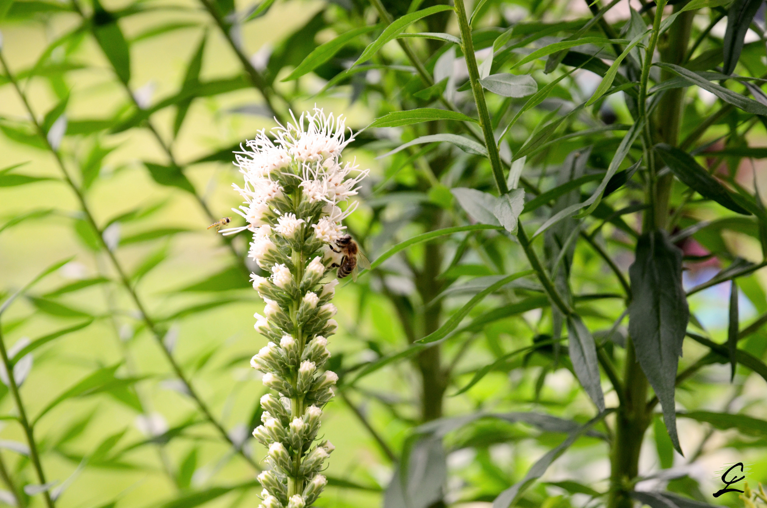 До и после: Реновация склона и террасы перед домом