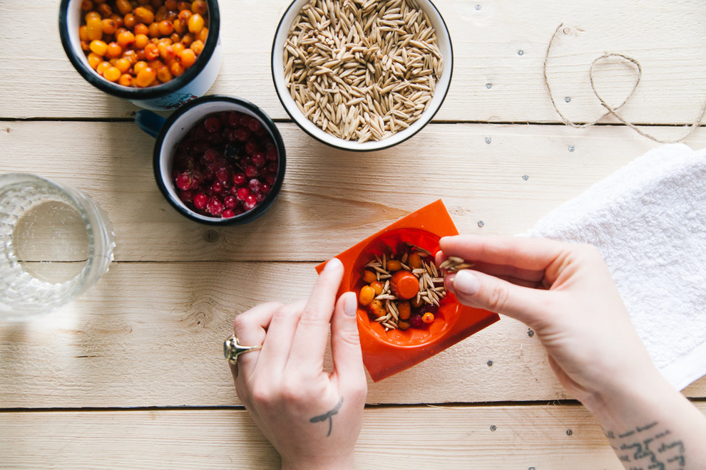 DIY: Ледяная кормушка для птиц своими руками