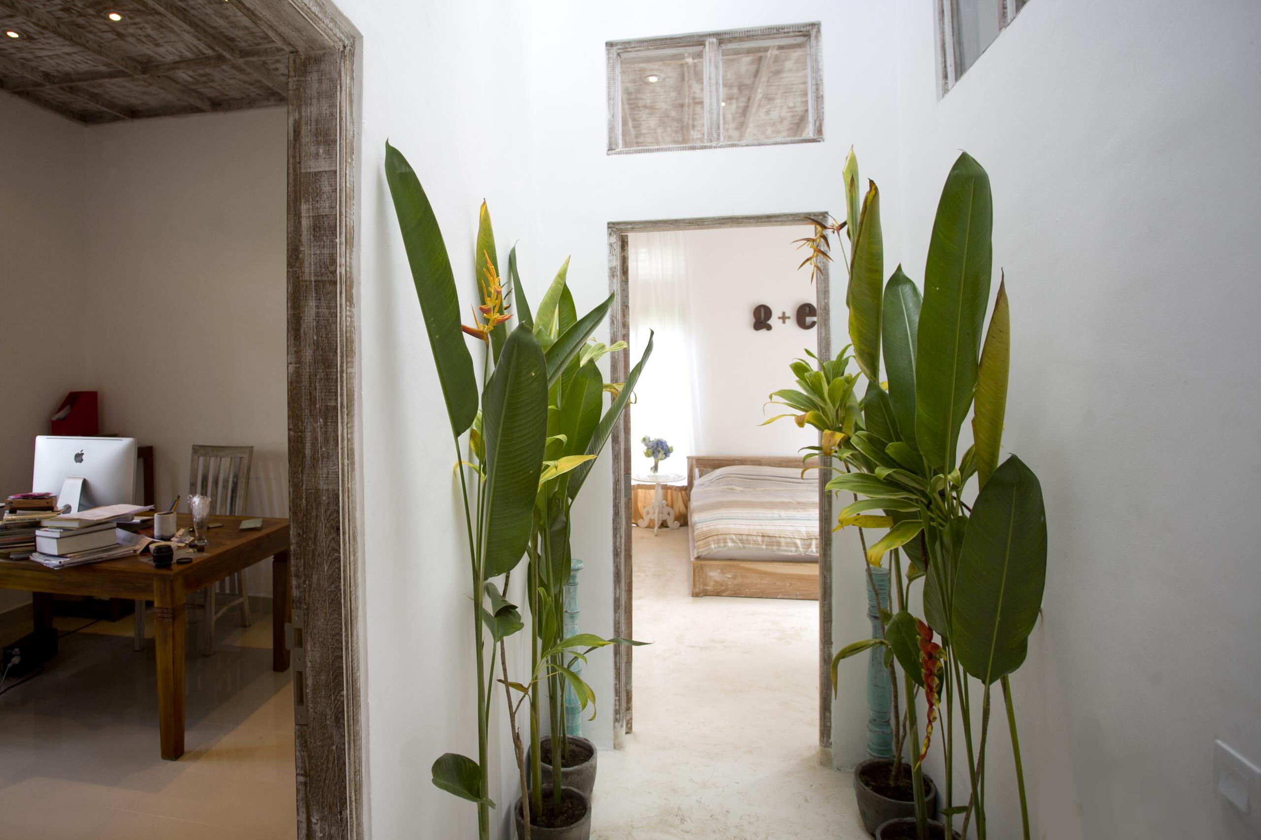 В гостях: Есть, молиться, любить и построить дом на Бали