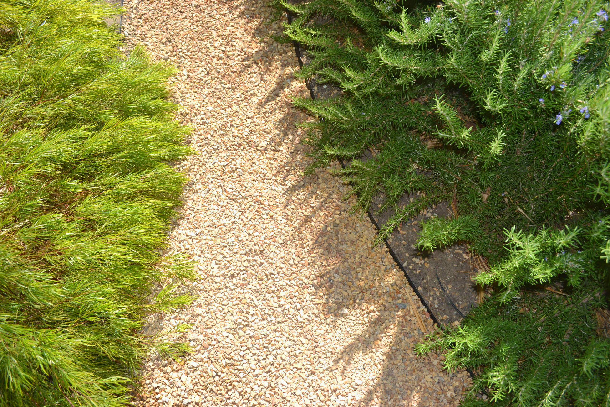 Уроки Chelsea Flower Show: Сад хорошего самочувствия