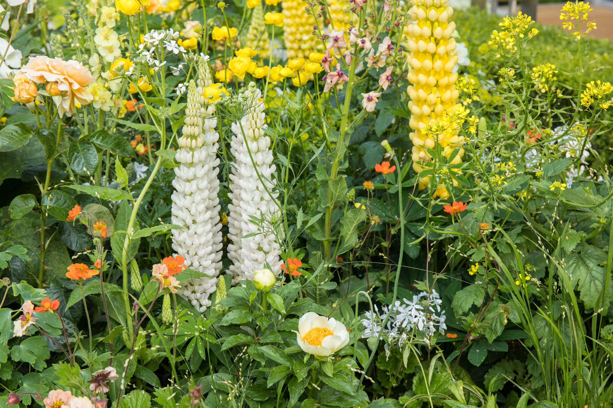 Уроки Chelsea Flower Show: Сад хорошего самочувствия