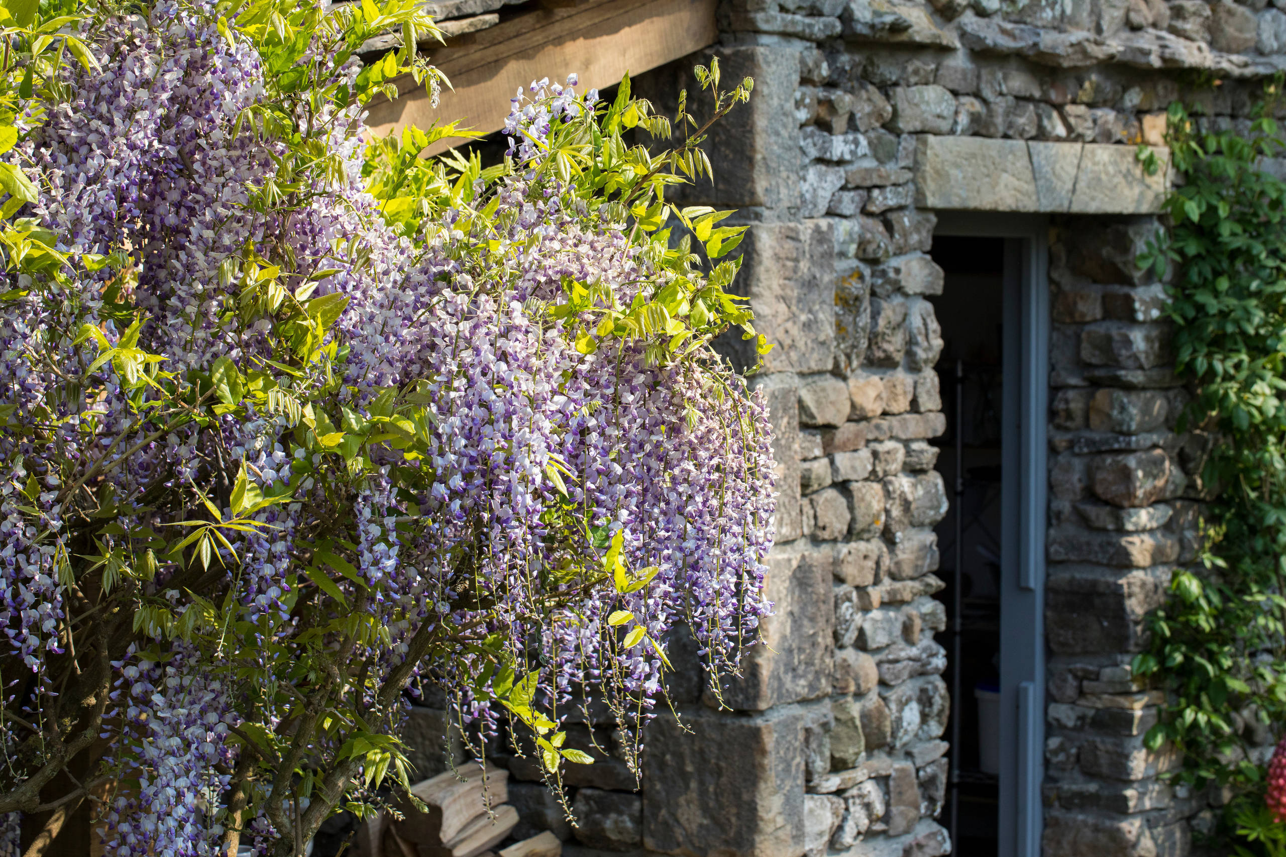 Уроки Chelsea Flower Show: Сад хорошего самочувствия