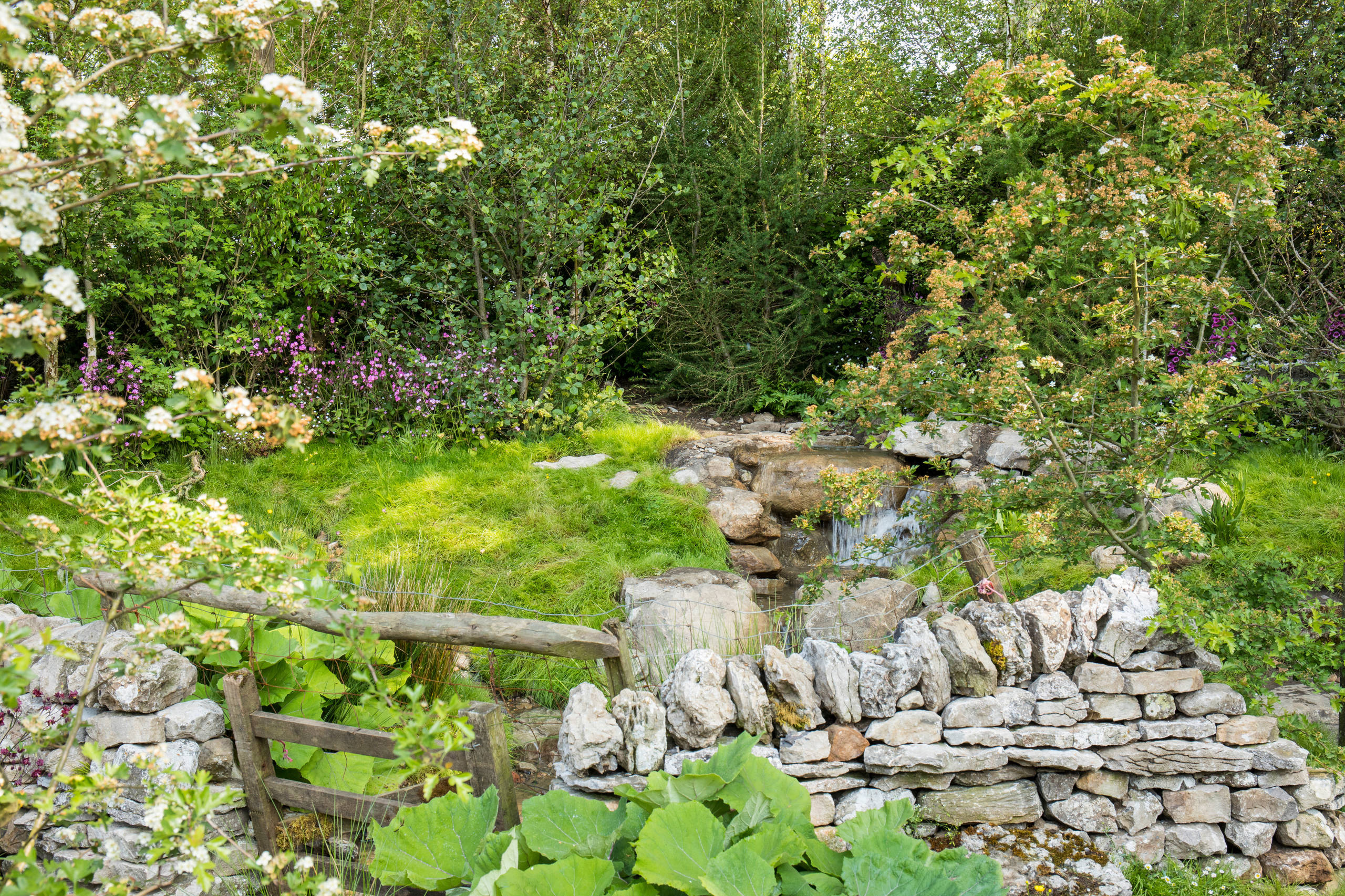 Уроки Chelsea Flower Show: Сад хорошего самочувствия