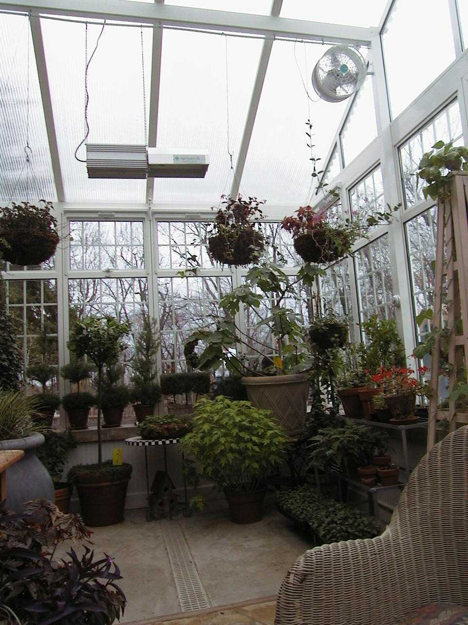 Огород на балконе: Как выращивать фрукты и овощи в городе