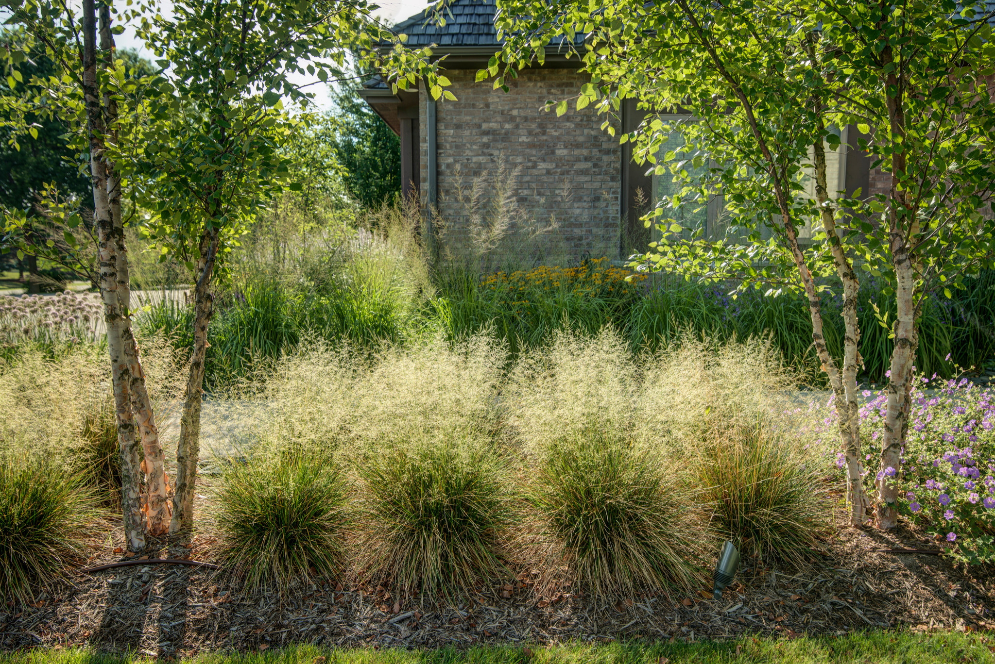 Фотоохота: 37 садов со злаками