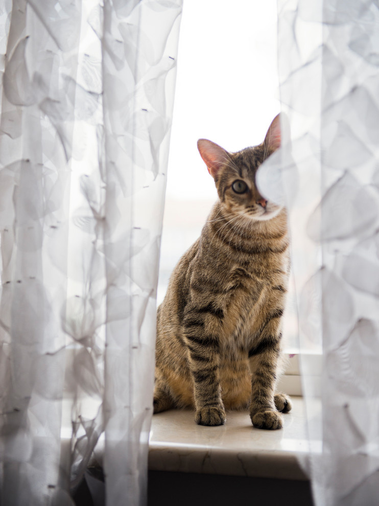 В гостях: Квартира модельера Маши Цигаль на Цветном бульваре