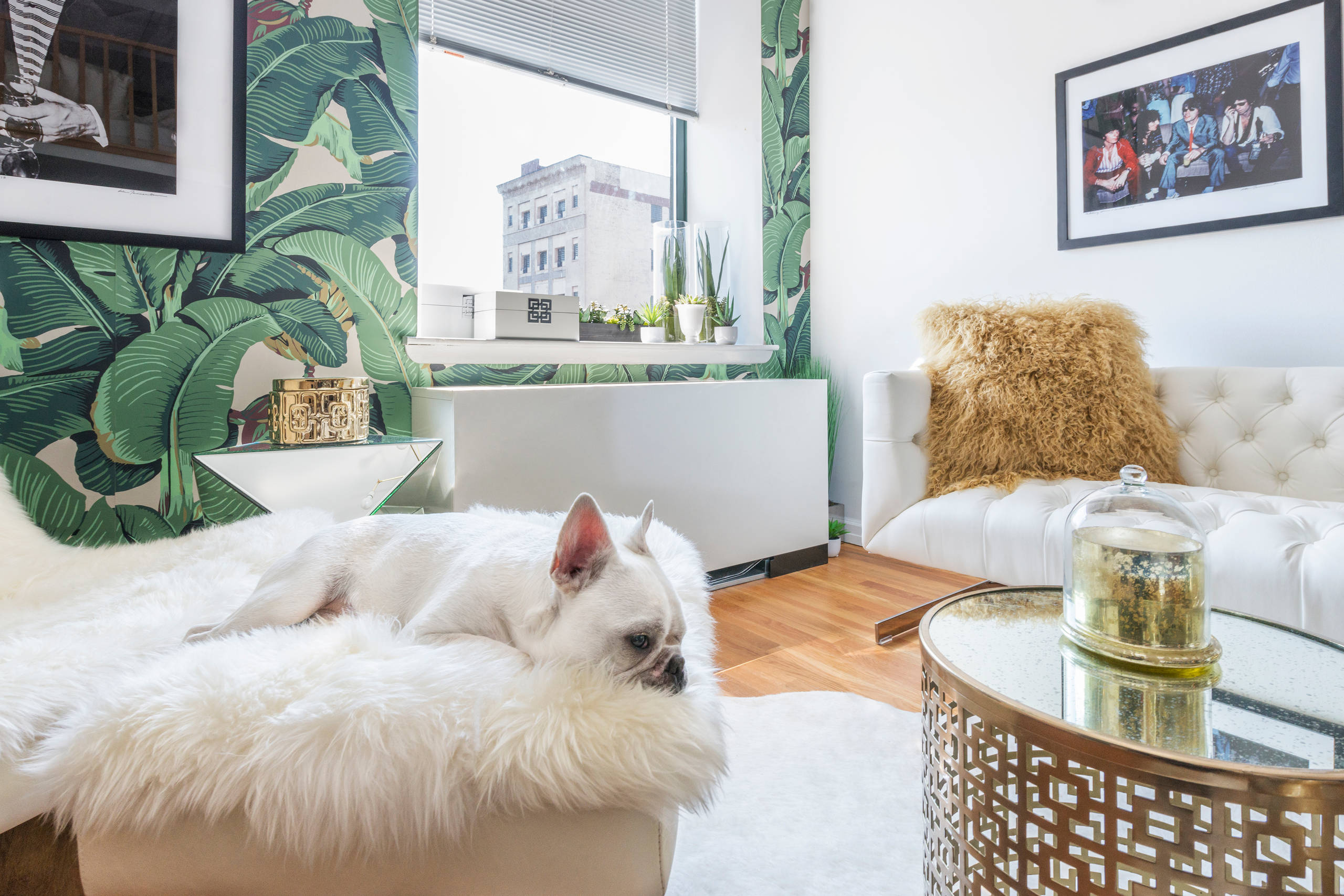 Микротренды: Банановые листья