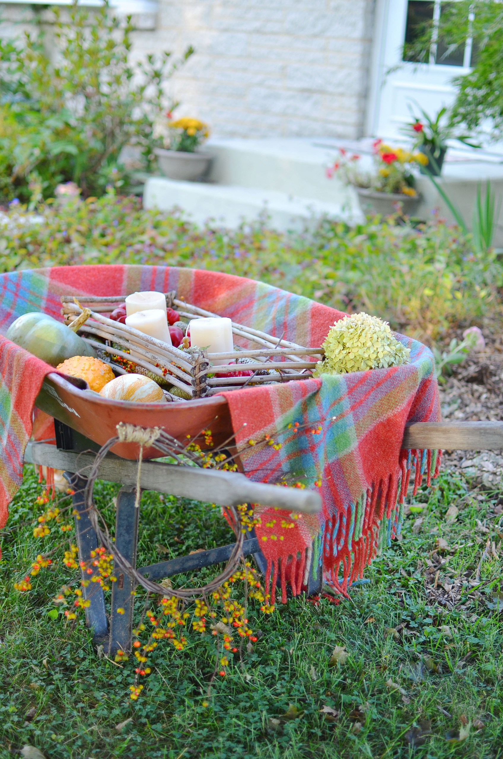 Золото на голубом: Работы в саду и огороде в сентябре