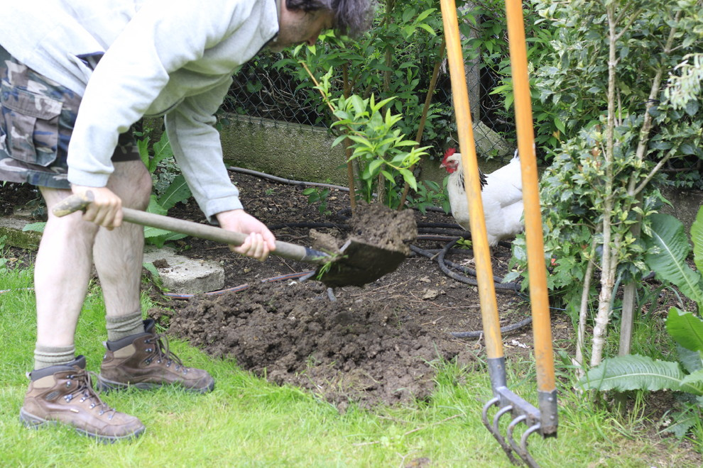 Золото на голубом: Работы в саду и огороде в сентябре