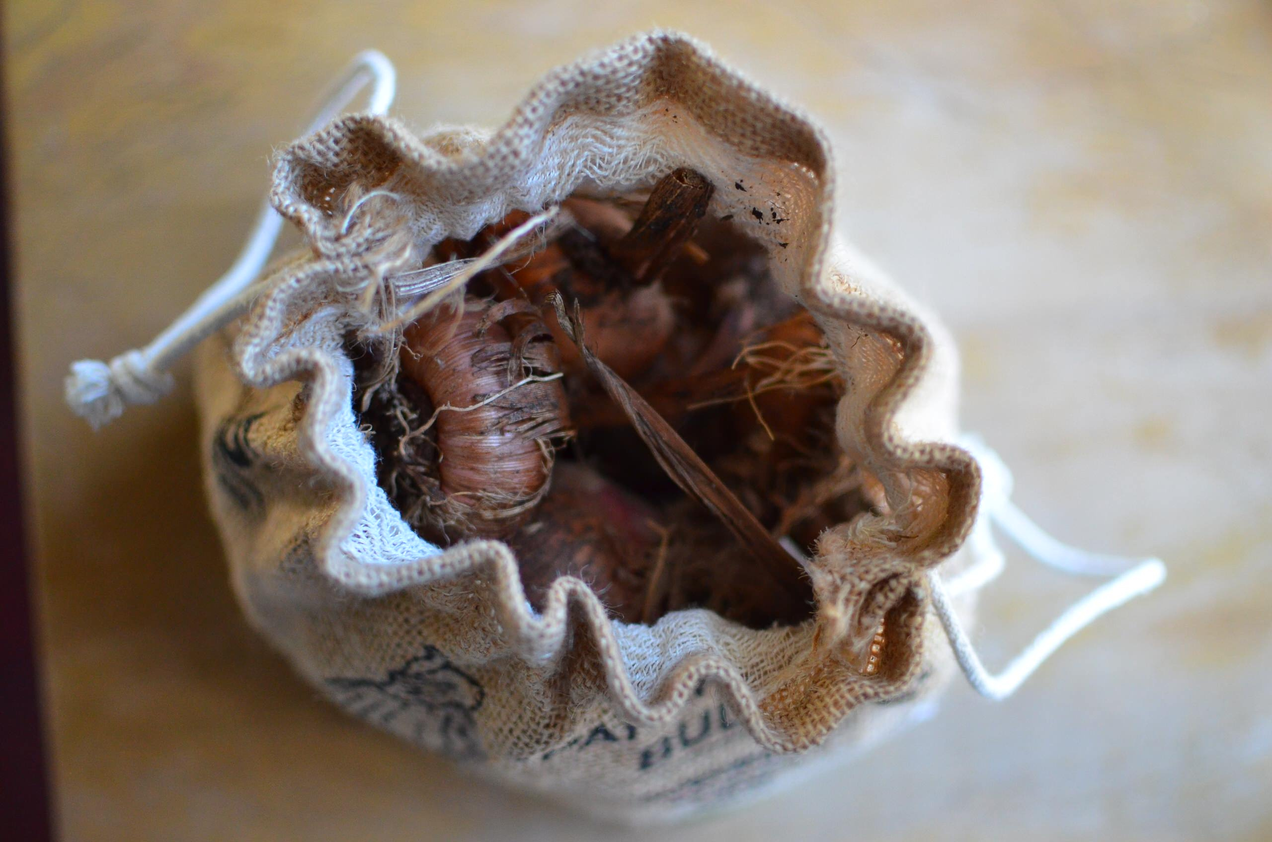 Золото на голубом: Работы в саду и огороде в сентябре