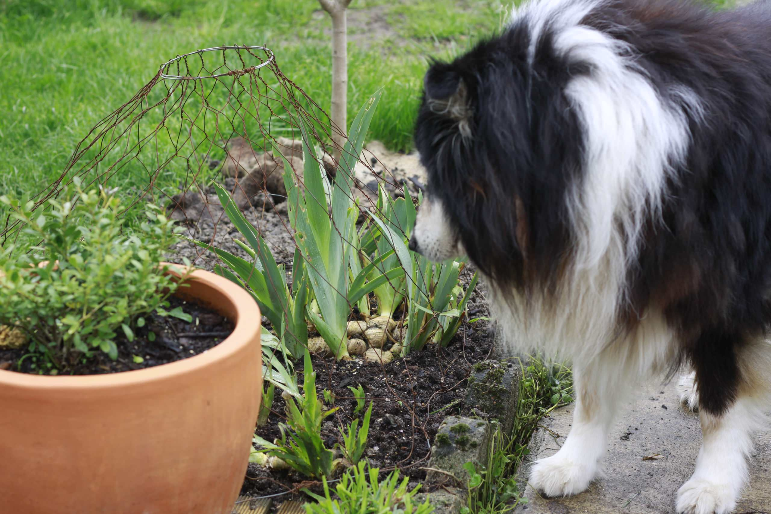 Золото на голубом: Работы в саду и огороде в сентябре