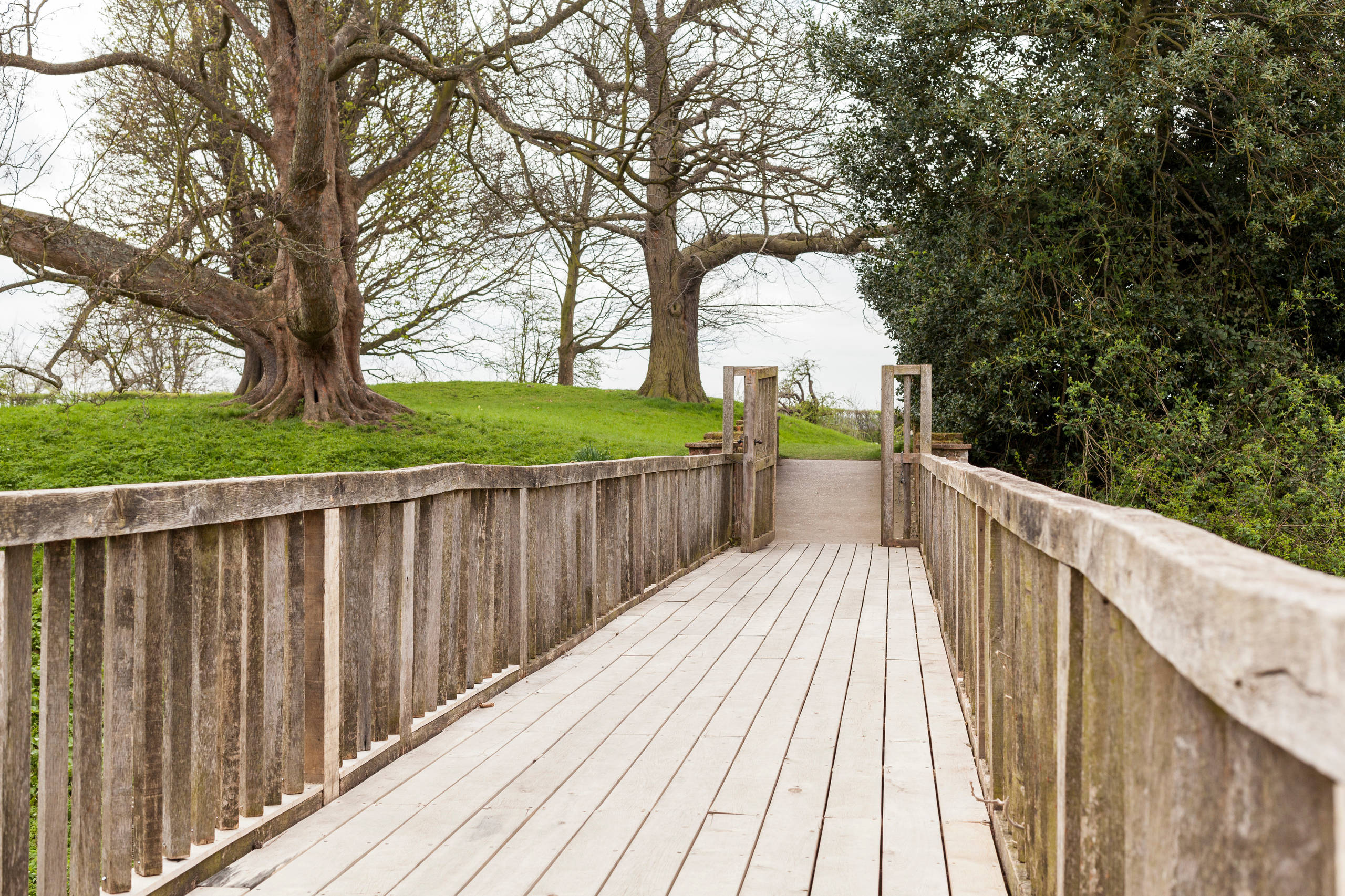 Культурная среда: Не только красота, но и доброжелательность спасет мир