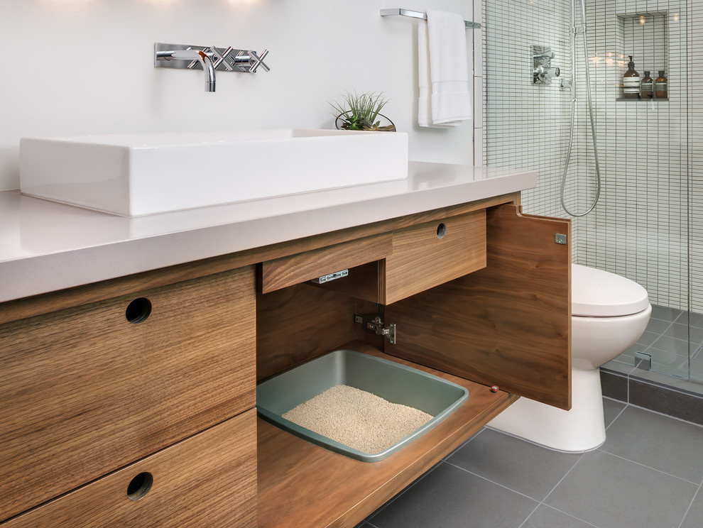 Кот в доме: Что делать, если начались проблемы