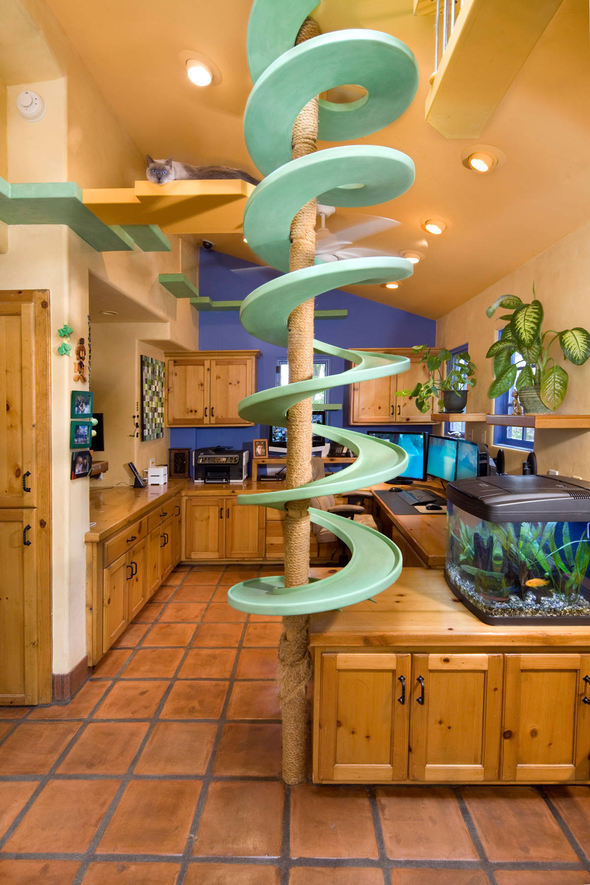 Фотоохота: Домики для кошек своими руками — 40 идей