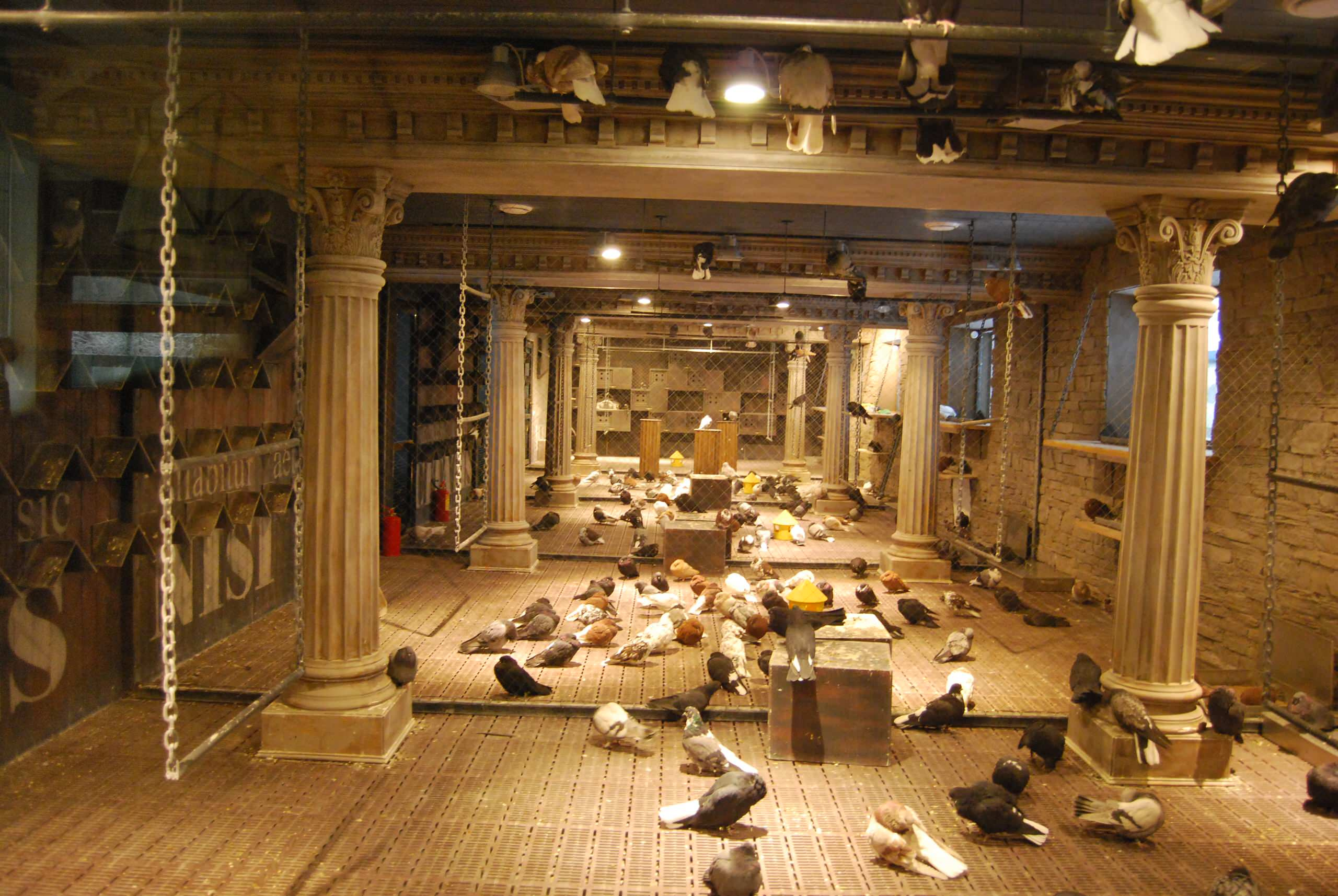 Houzz call:  Покажите, как живется вашим питомцам