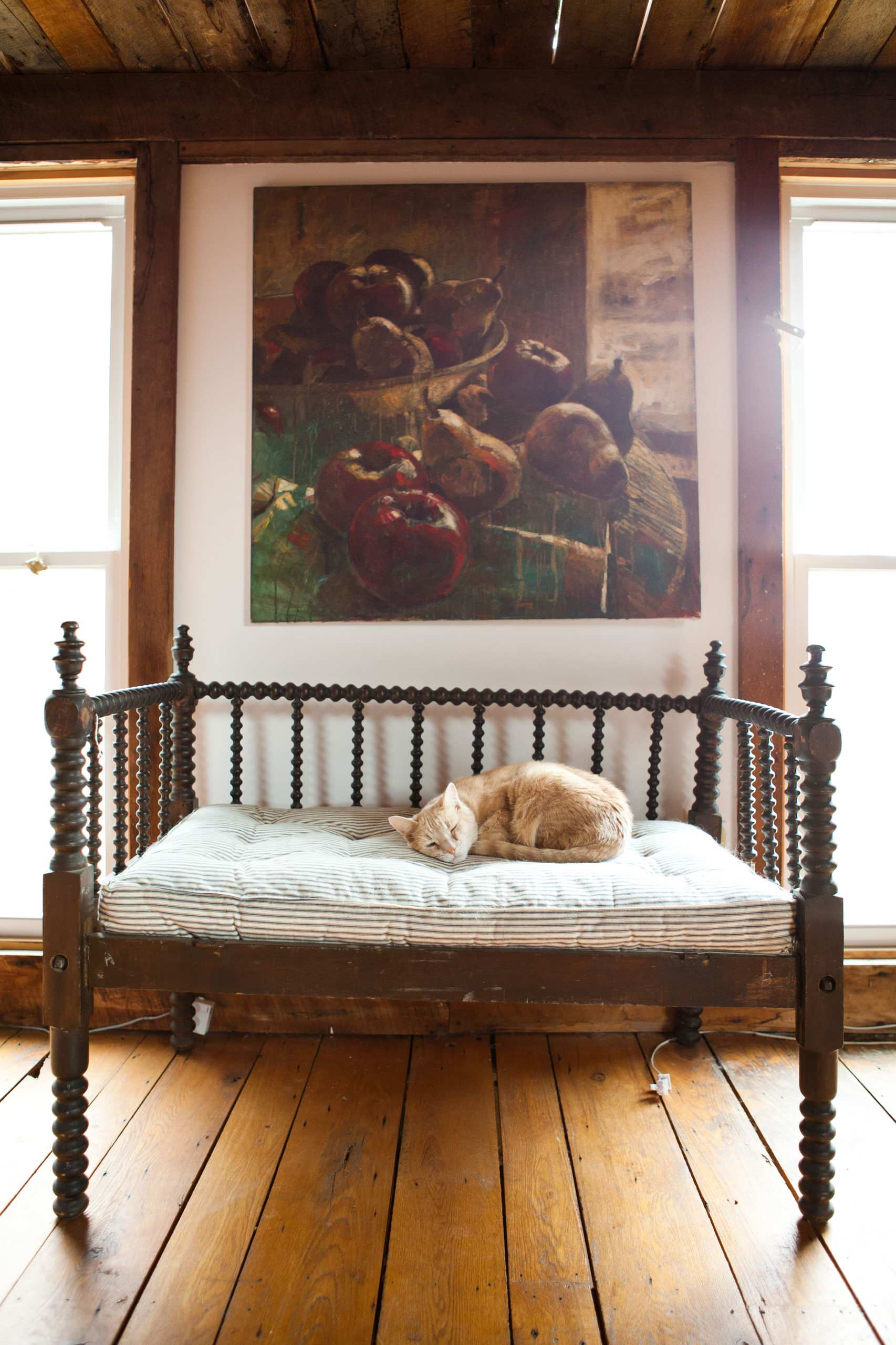 Houzz call:  Покажите, как живется вашим питомцам