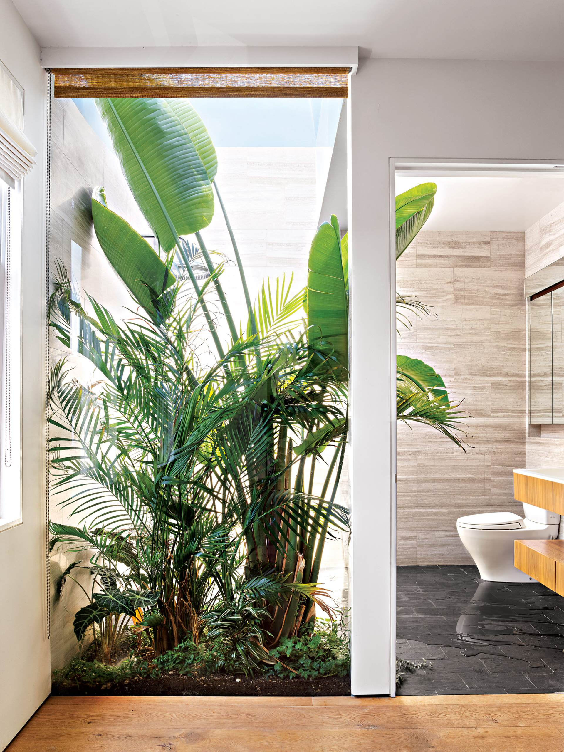 Houzz США: Таунхаус с «пузырем» в Бруклине