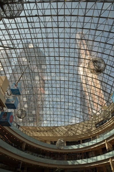 Портрет: Все об архитектуре XXI века, или проект «Свобода доступа»