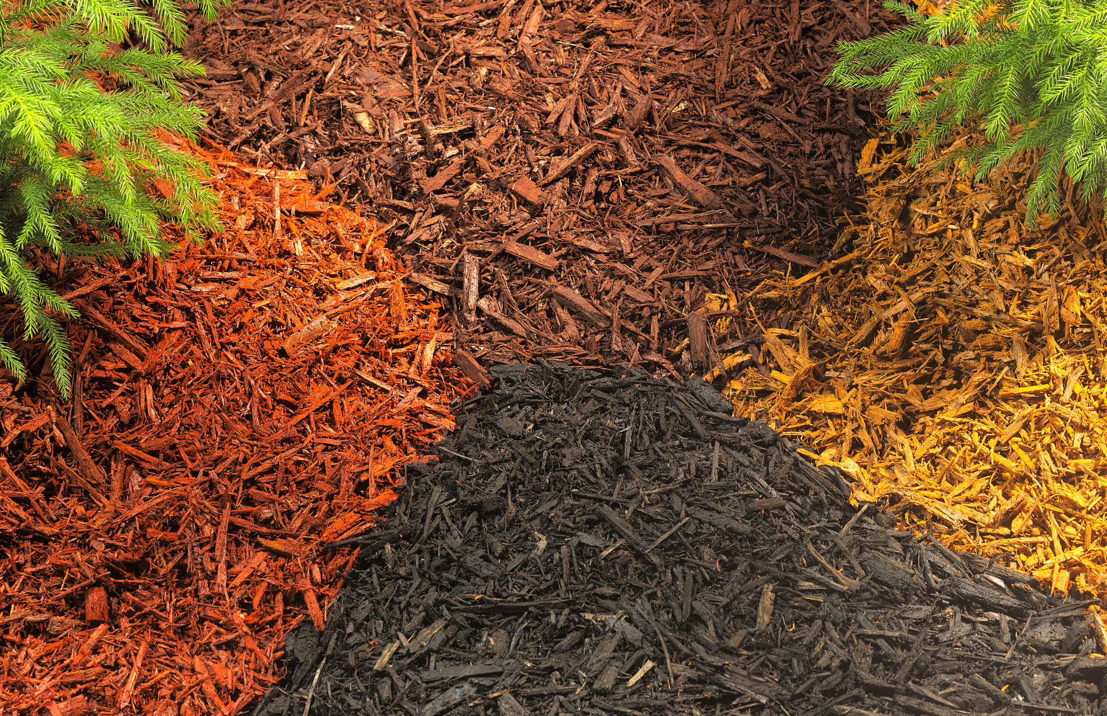 Как правильно: Посадить сад осенью