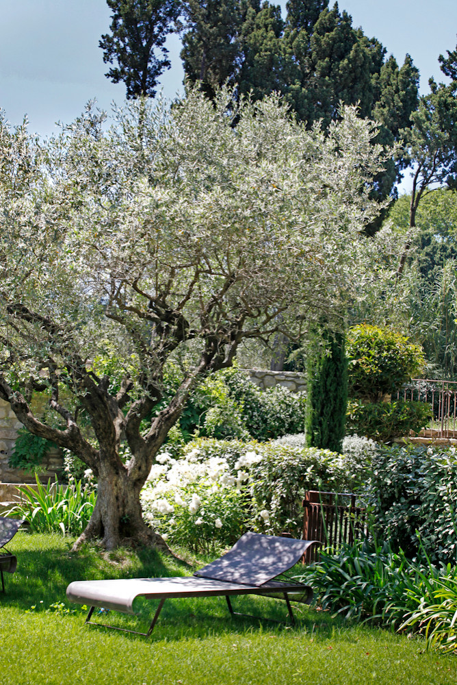 Феномен: Средиземноморские сады во французском стиле
