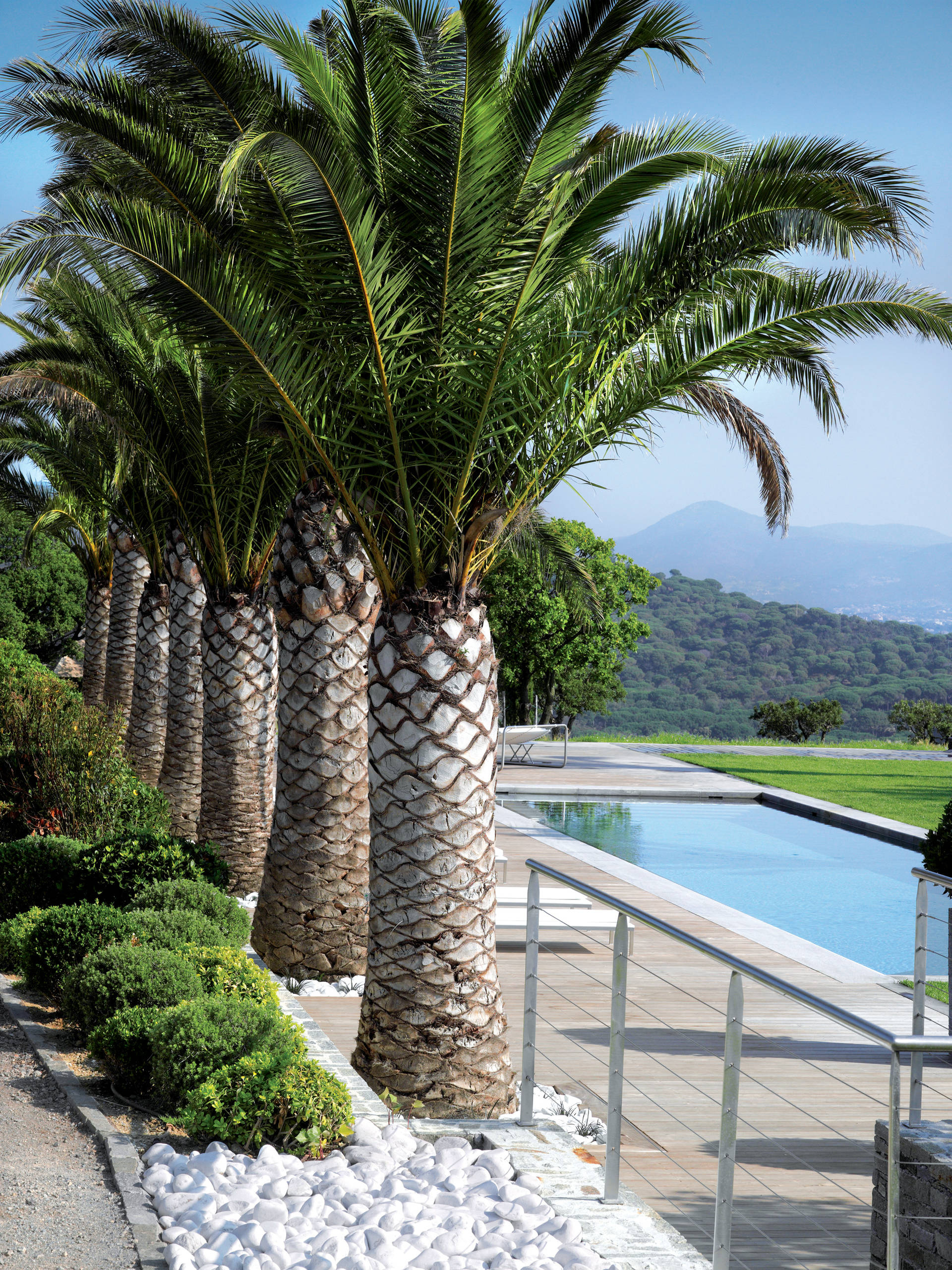 Феномен: Средиземноморские сады во французском стиле