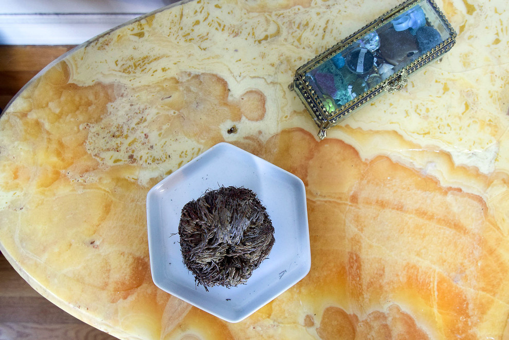 В гостях: Квартира с огромной гостиной, белыми быками и черным мопсом