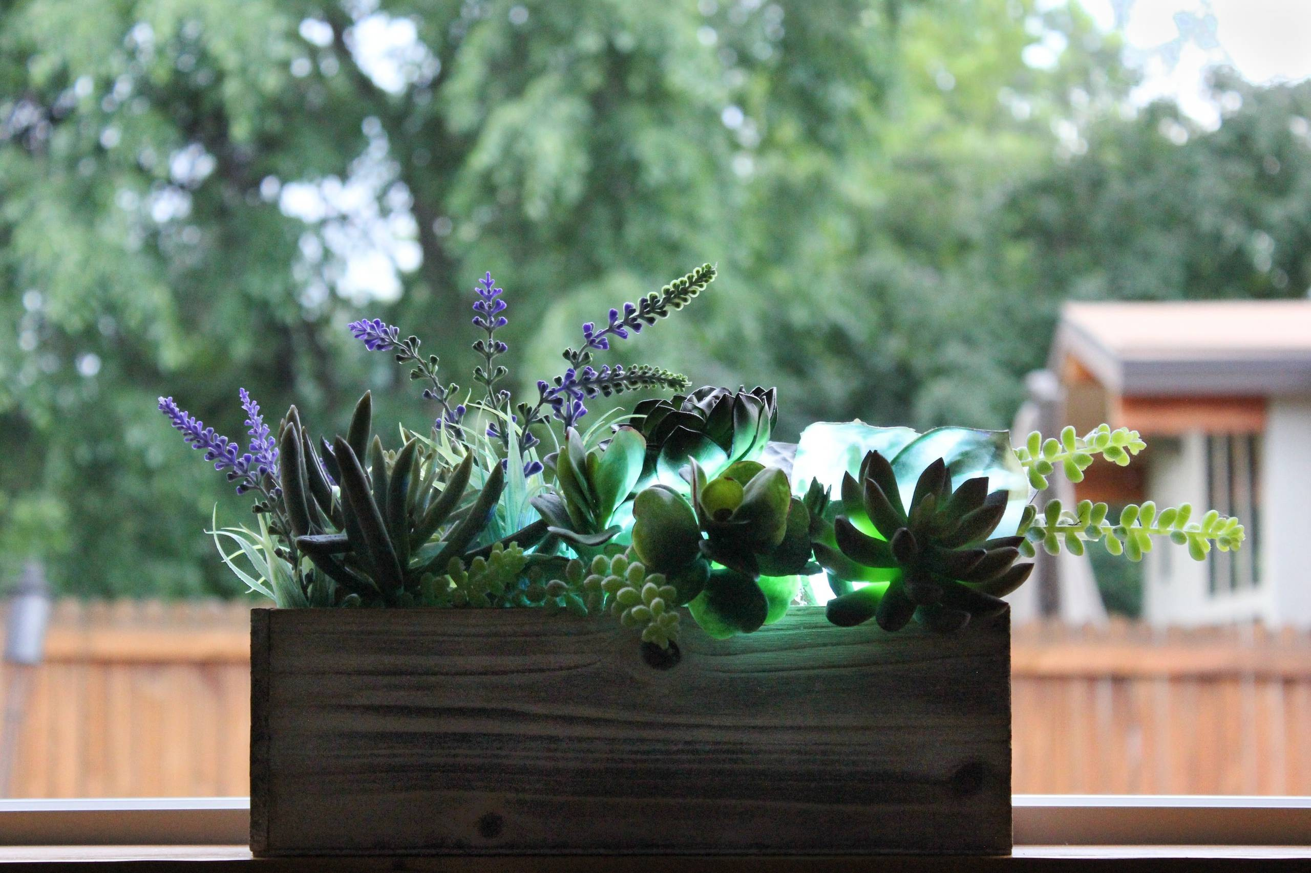 Расцветайте, фуксии и розы: что посадить на балконе мечты