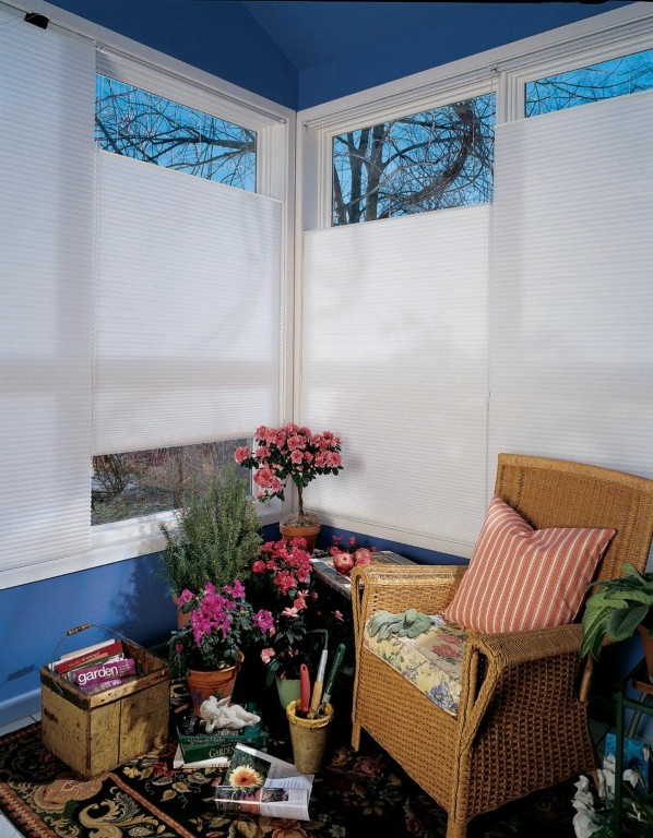 Расцветайте, фуксии и розы: что посадить на балконе мечты