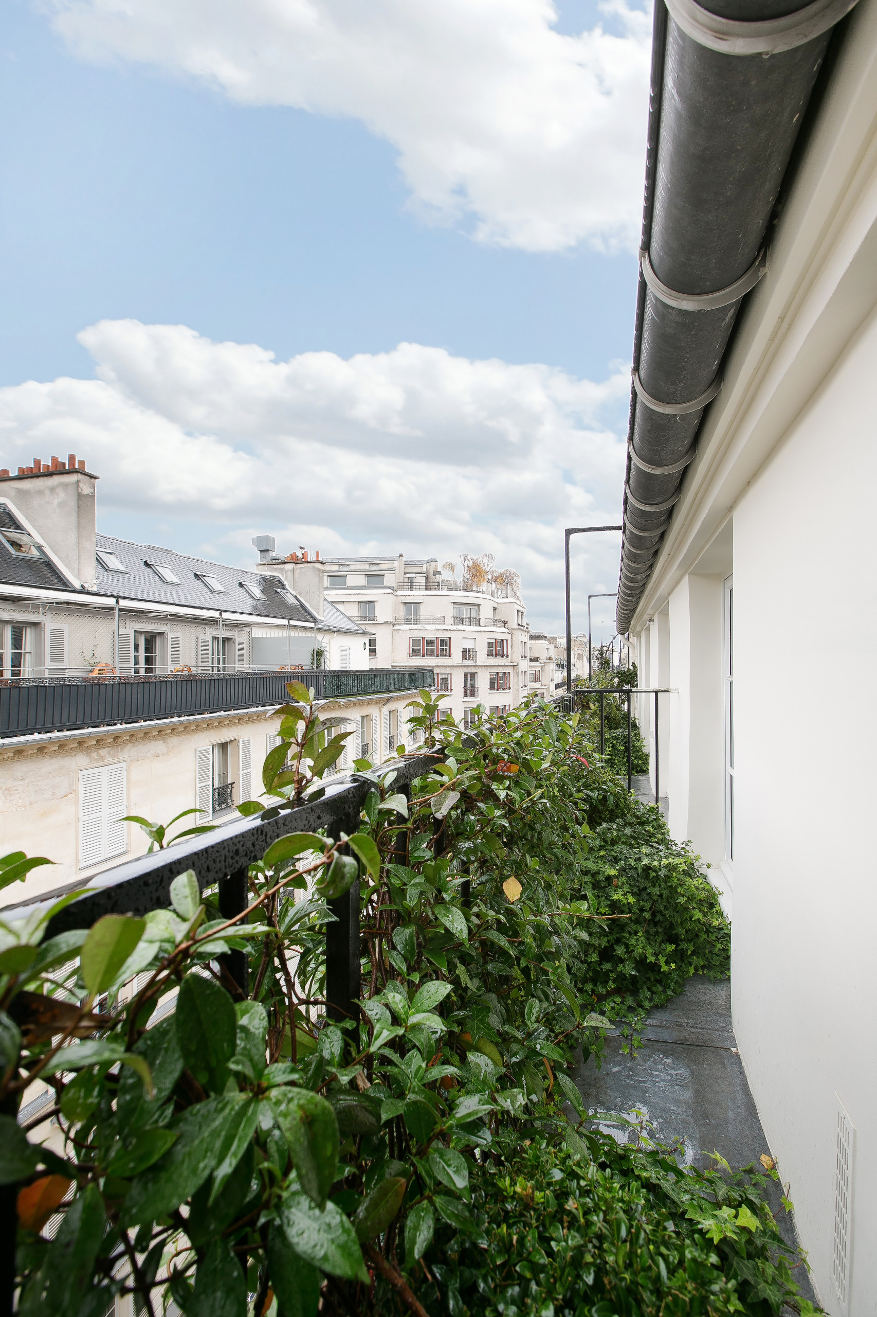 Расцветайте, фуксии и розы: что посадить на балконе мечты