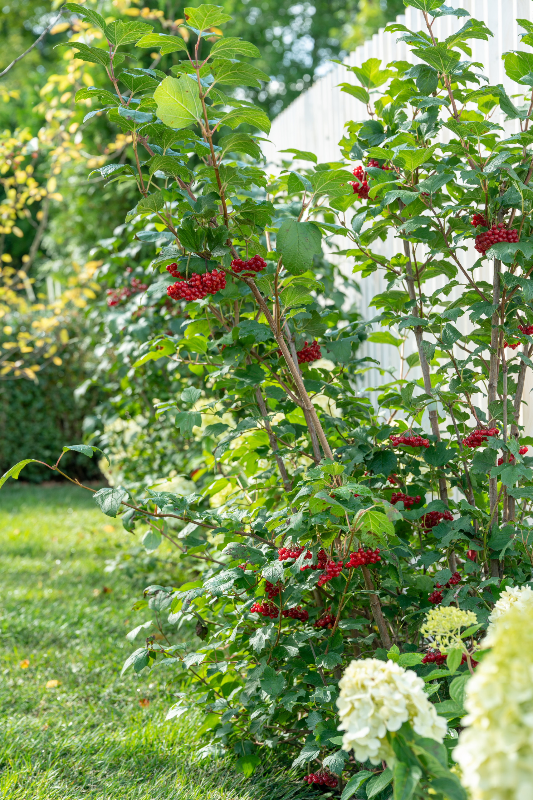 Сад недели: с огородом, кортеном и «живоносным источником»