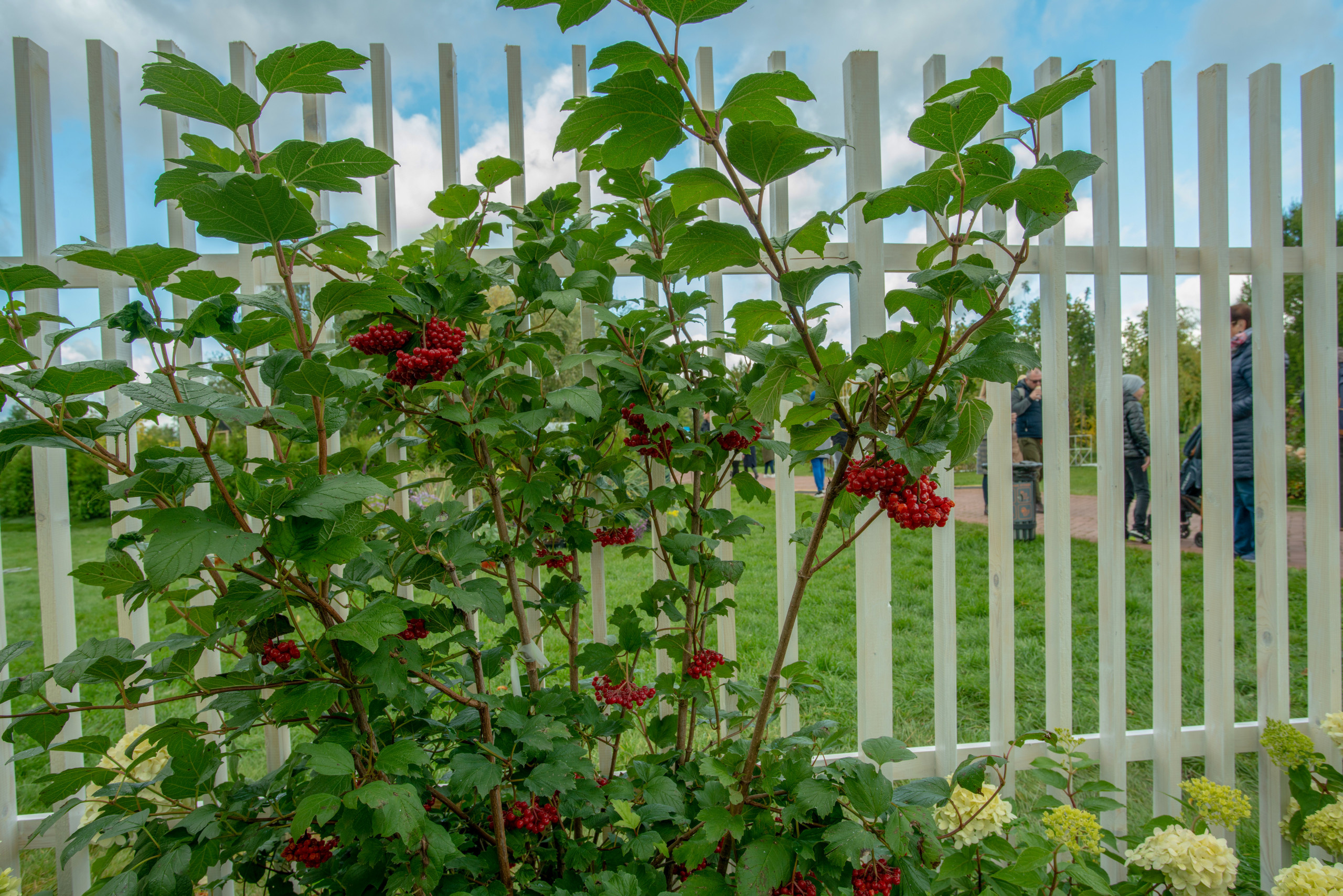 Сад недели: с огородом, кортеном и «живоносным источником»
