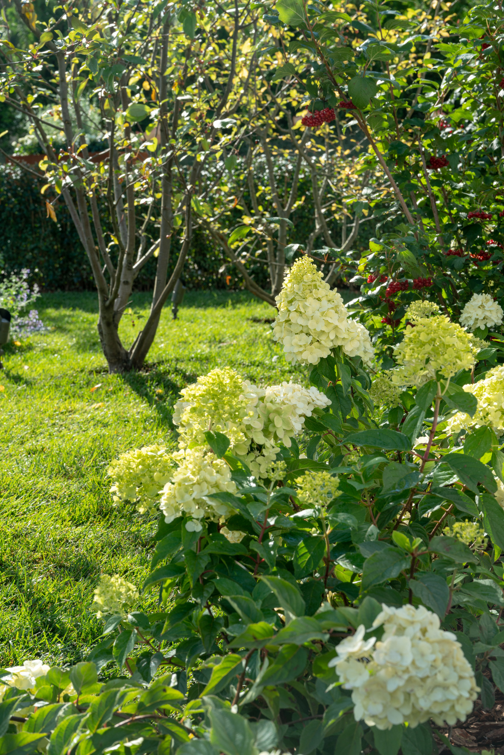 Сад недели: с огородом, кортеном и «живоносным источником»